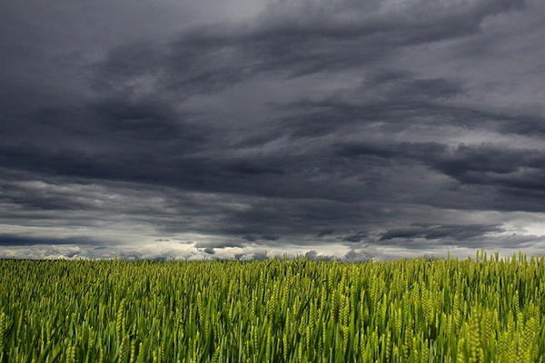 Moins de jours pluvieux mais des pluies plus extrêmes en Afrique Australe
