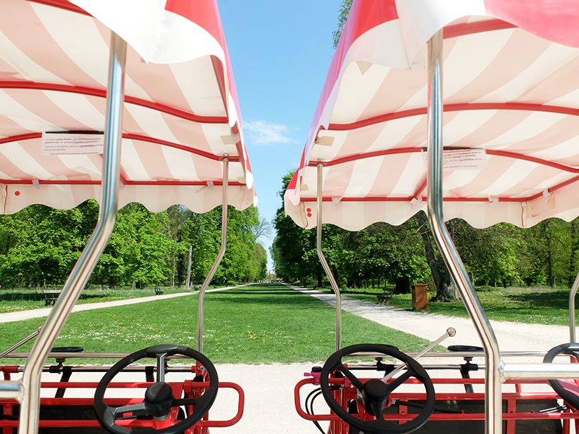 « Je suis tombée amoureuse de la France… »