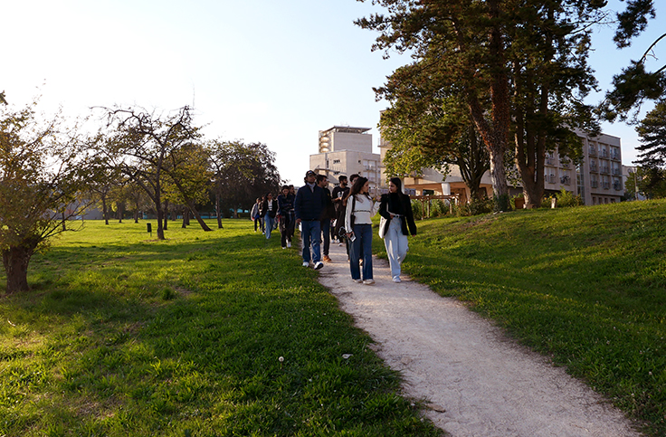 Témoignages d’étudiants internationaux venus à l’Institut universitaire de technologie (IUT)
