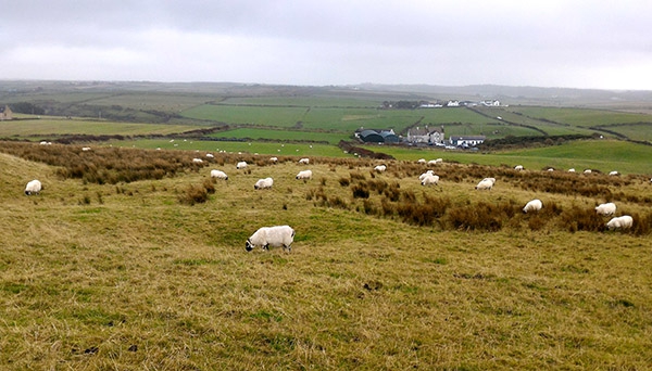 « Revenir en France si tôt m&rsquo;a brisé le cœur »