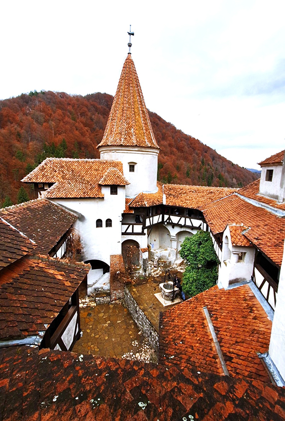 Témoignage : Corentin à Iași